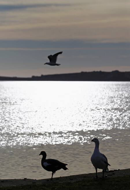 El Reino Unido fortalecerá su presencia en Malvinas mediante infraestructura estratégica. Foto: Reuters/Marcos Brindicci