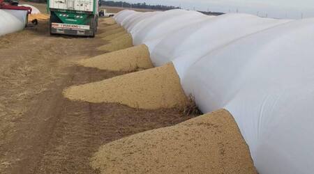 En Adelia María no se logró detener a ningún sospechoso por el caso, vandalismo rural