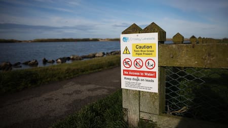 Brote de algas tóxicas obliga al cierre de un lago cerca de Liverpool. Fuente: EFE