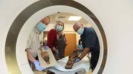 Momia no humana en Egipto