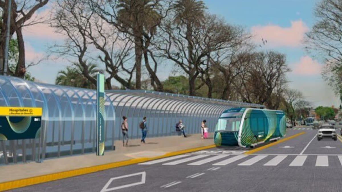 TramBUS de la Ciudad de Bueno Aires. Foto: x pberecia.