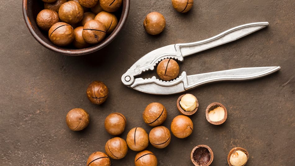 Nuez de macadamia.