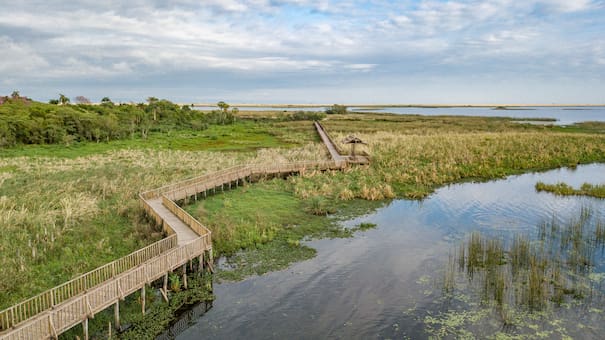 Naturaleza y calma: dónde queda el encantador pueblito donde habitan carpinchos, ciervos de los pantanos y hasta yaguaretés
