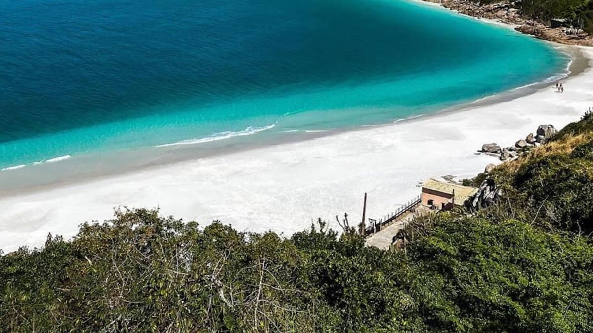 Alerta en las playas de Brasil por mar contaminado: los problemas de salud más frecuentes y cómo evitarlos en vacaciones