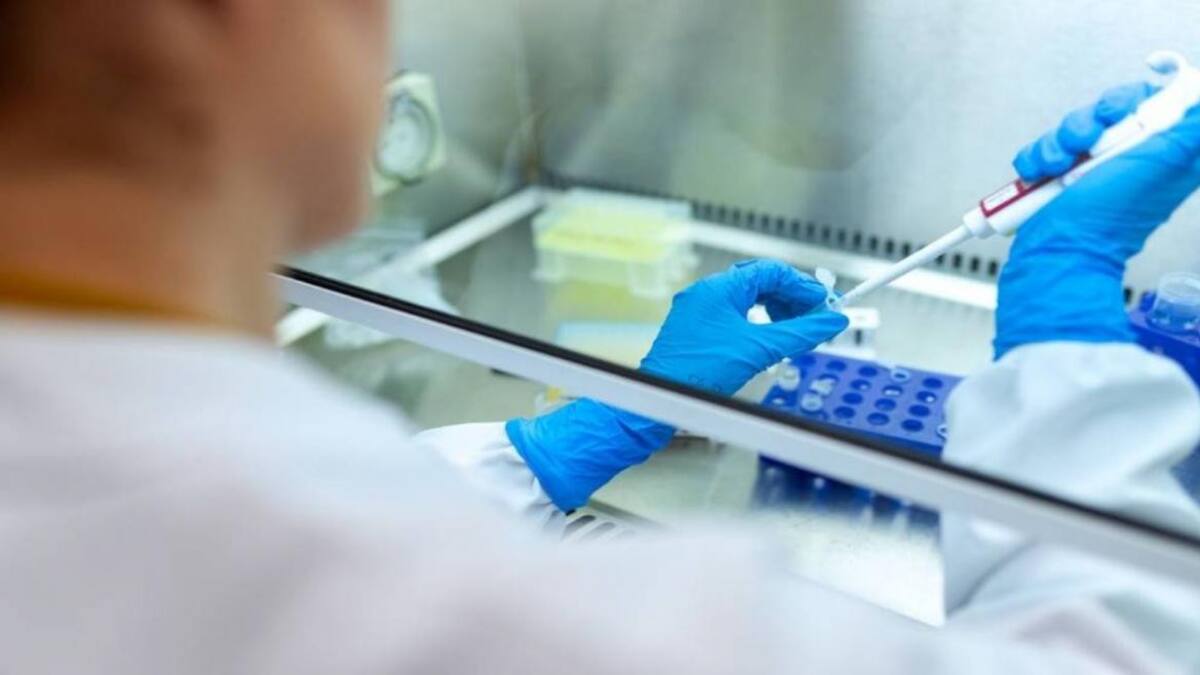 Laboratorio, científicos, estudios médicos, coronavirus