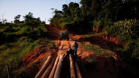 camino tierra indígena yanomami en Alto Alegre_estado de Roraima_Brasil_Reuters