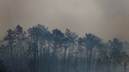 Cambio climático. Foto: Reuters.