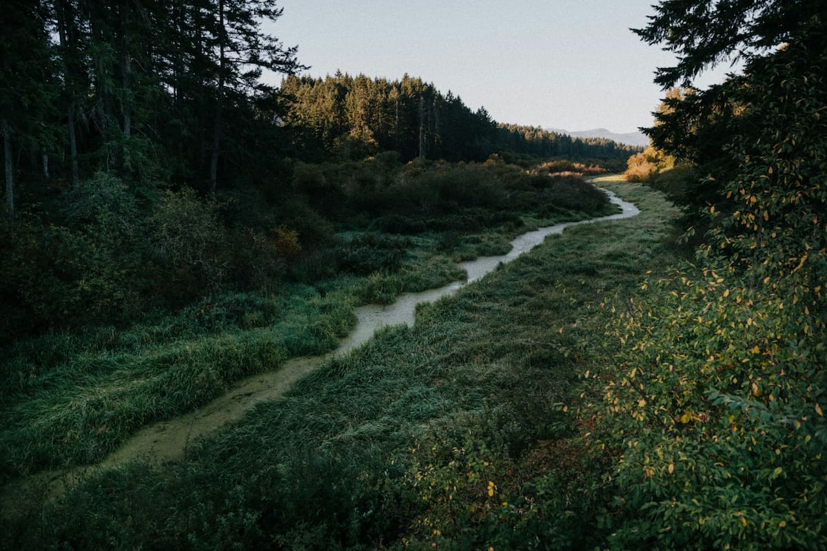 Ríos. Foto Unsplash