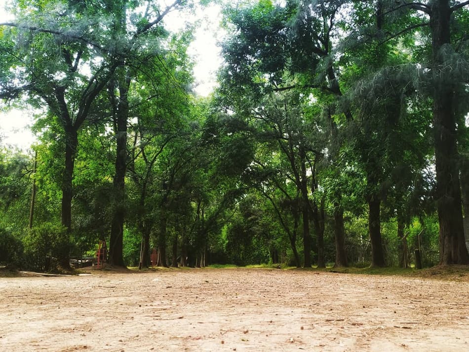 La Reserva Natural Municipal "Los Robles". Foto: Instagram @reservamunicipallosrobles