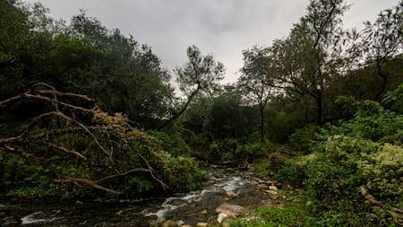 Parque Nacional El Rey. Fuente: Parques Nacionales
