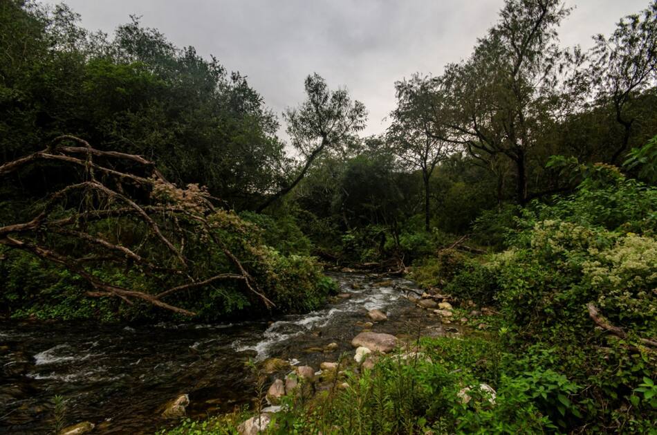 Parque Nacional El Rey. Fuente: Parques Nacionales