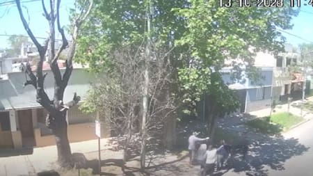 Albañiles agredieron a vecino en La Plata. Foto: captura de video.