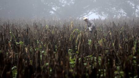 Fenómeno El Niño. Foto: EFE