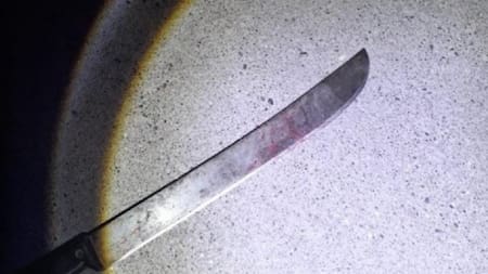 El elemento que utilizó el dueño de la casa. Foto: NA.