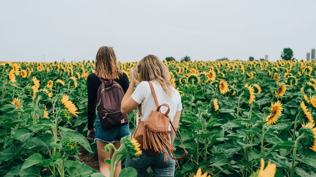 Su conexión con la tierra va más allá, ya que son protectores del medio ambiente y promueven su cuidado. Foto: Unsplash.