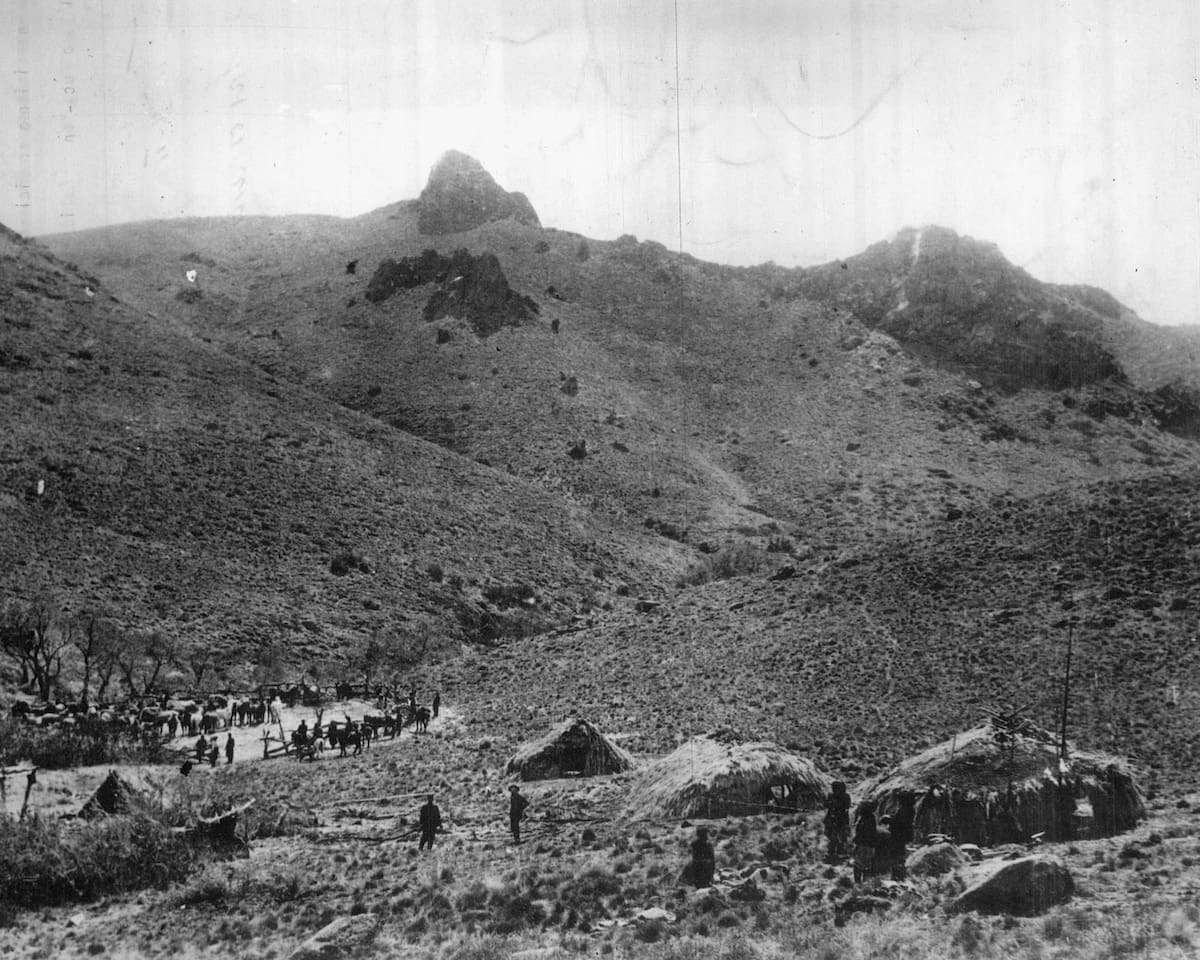Campaña del Desierto