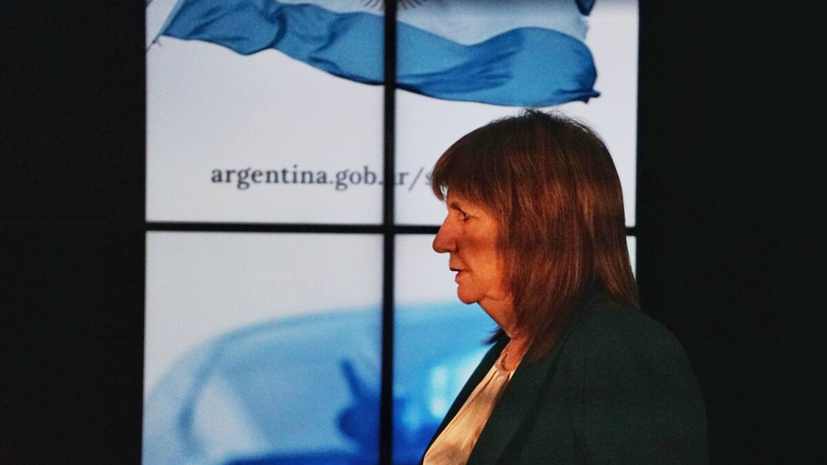 Jefa del bloque de La Libertad Avanza en el Senado.