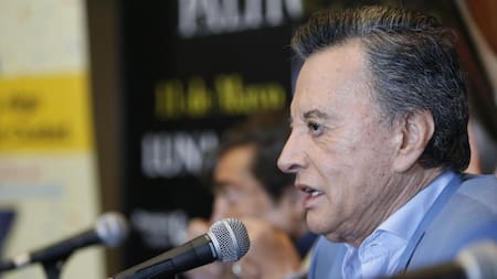 Palito Ortega, cantante