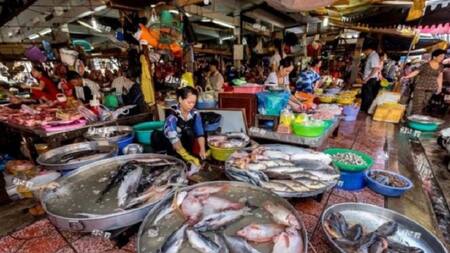 Un científico estadounidense habría identificado al caso cero de COVID-19