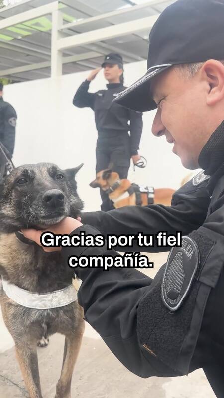 Kiara fue entrenada desde cachorra para formar parte de la División de Canes. Foto: Captura de pantalla.