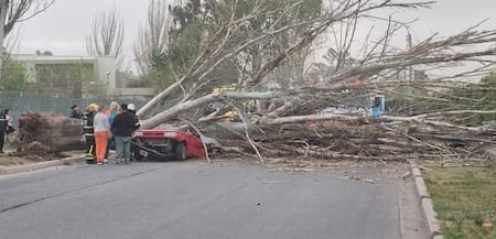 Muerte durante el temporal en Mendoza.