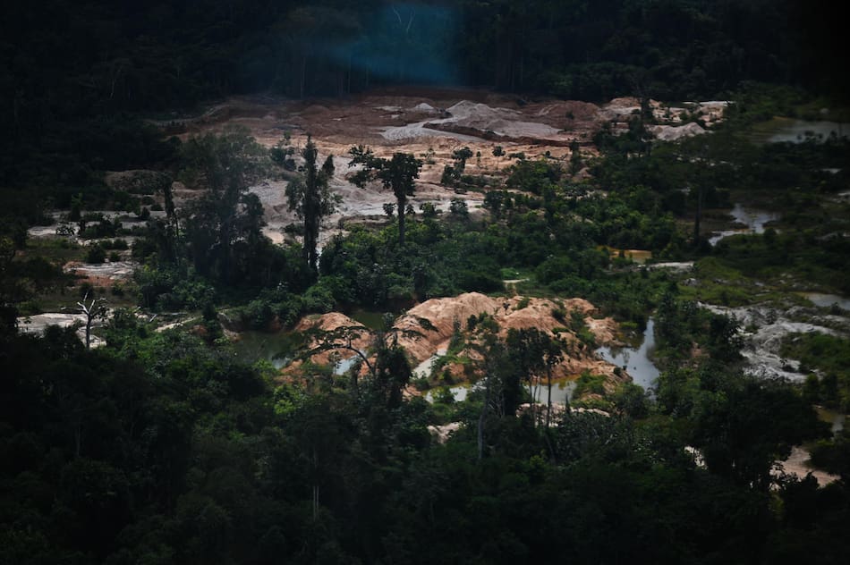 Destrucción del Amazonia. Foto: EFE.