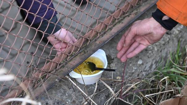 Alertan que la guerra en Ucrania puede generar una crisis alimentaria a nivel mundial