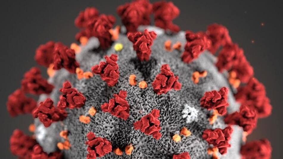 Coronavirus