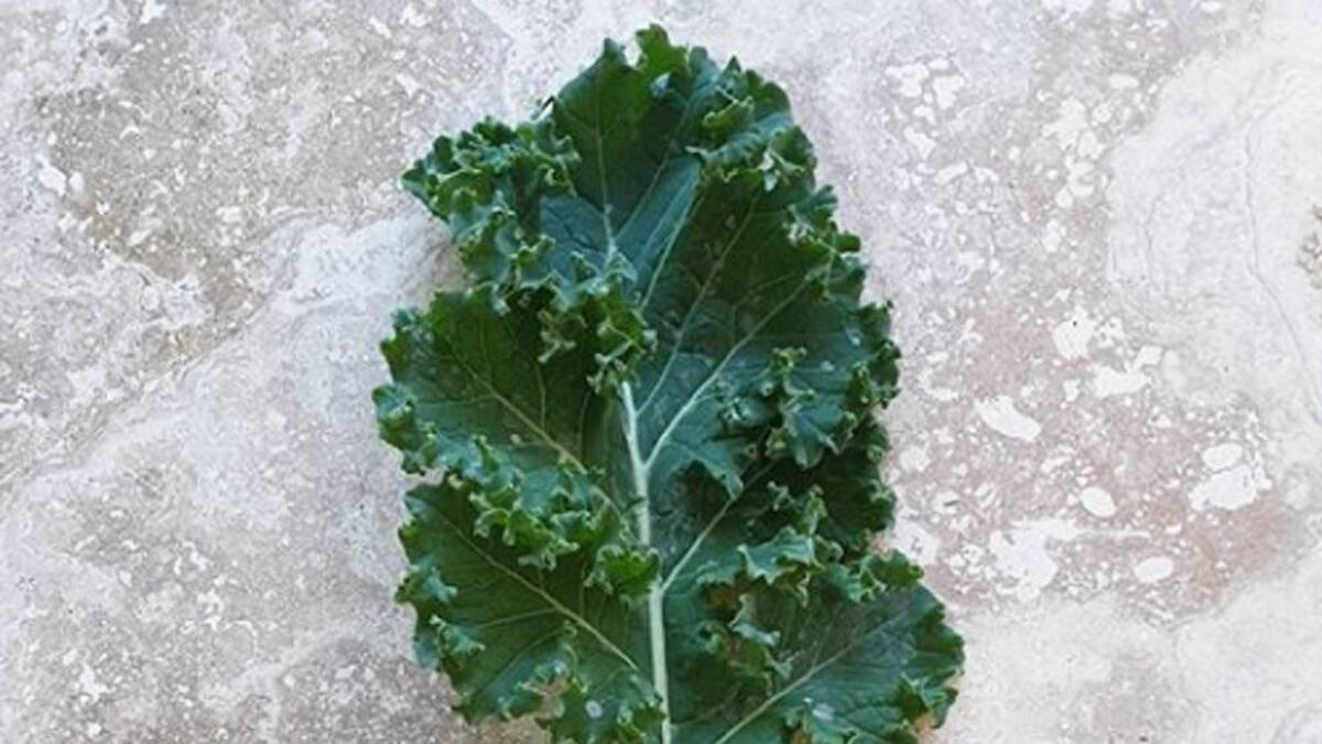 Kale