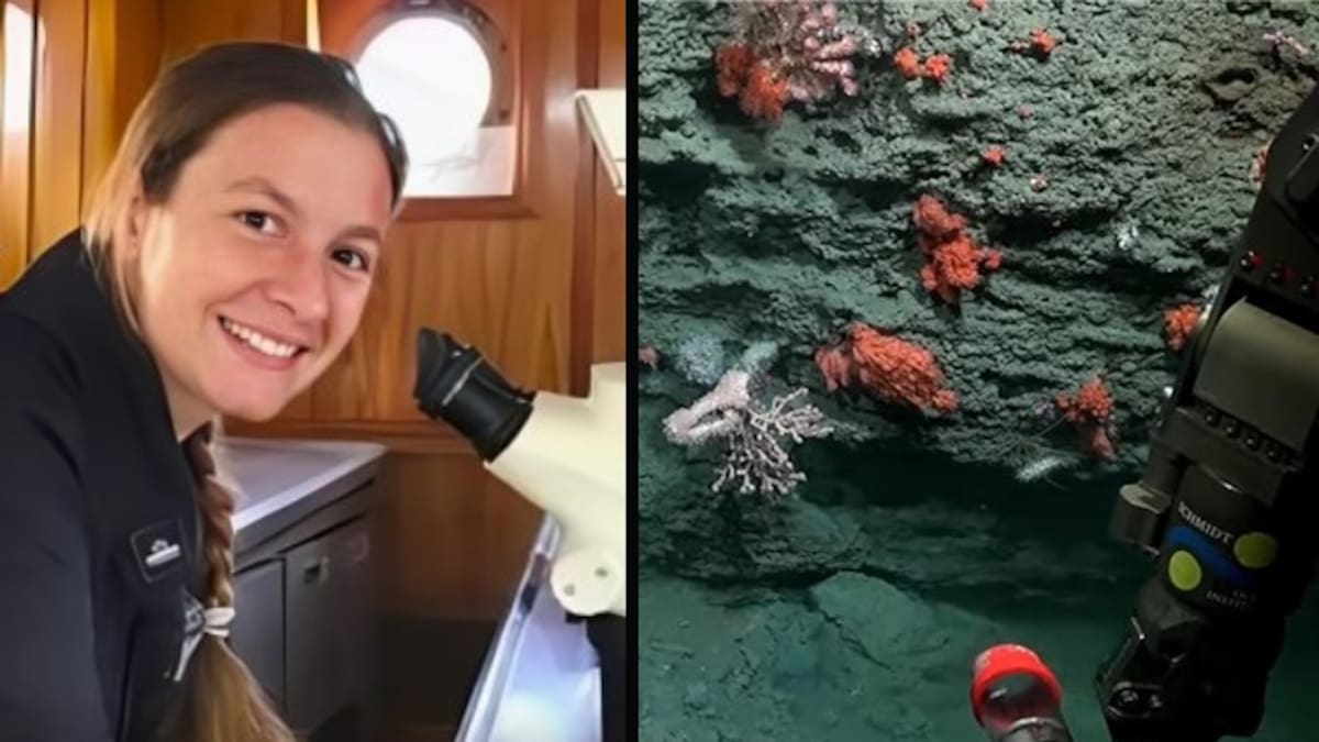 Quién es Nadia “Coralina” Cerino, la bióloga del CONICET que se hizo viral por el streaming en el fondo del mar
