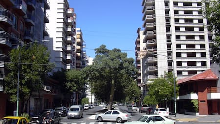 El boulevard más hermoso de CABA: está en un barrio que logró "renacer" y su nombre es motivo de polémica