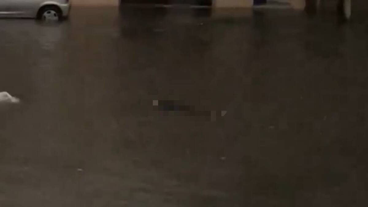 Apareció un cuerpo en Valentín Alsina en medio del temporal. Foto: captura video.