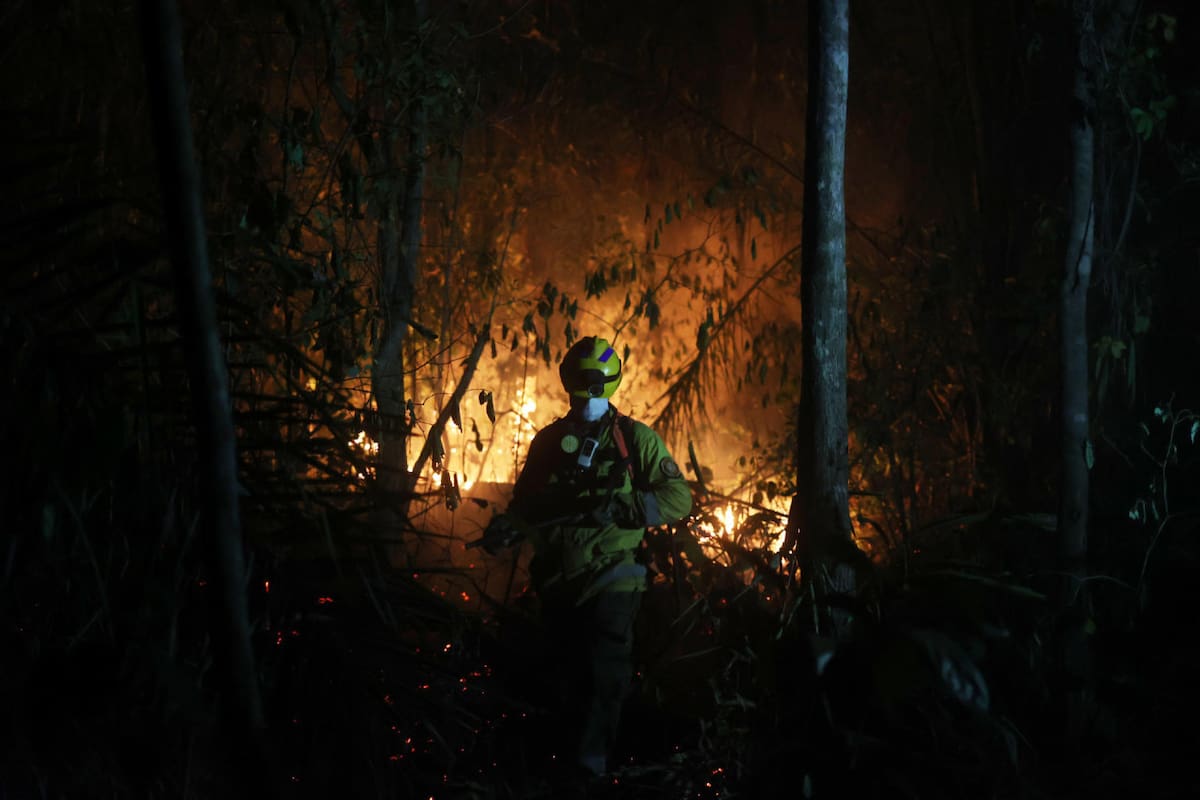 Incendios forestales en Bolivia. Foto: EFE