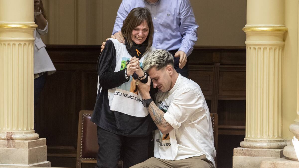 La madre de Nicolás festejó la aprobación de la ley.