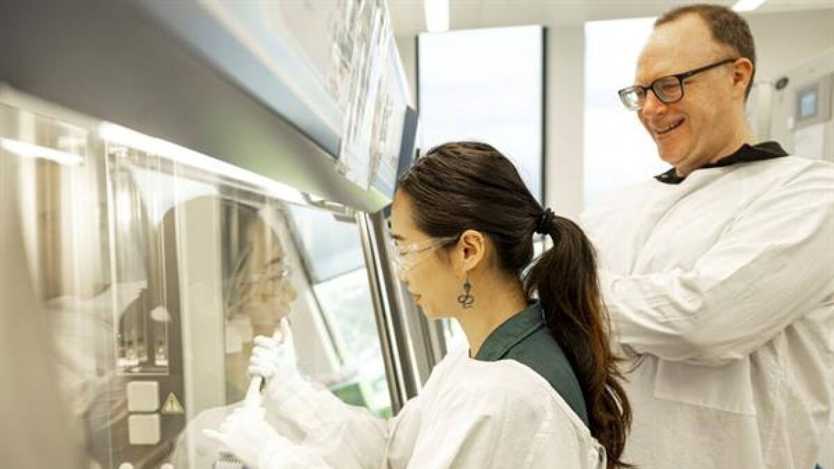 Científicos, investigación, descubrimiento. Foto: EFE