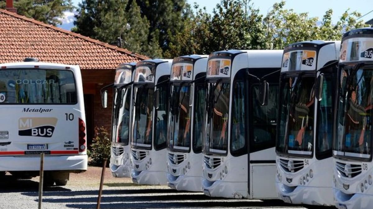 Colectivos de Bariloche. Foto: X @rionegrocomar