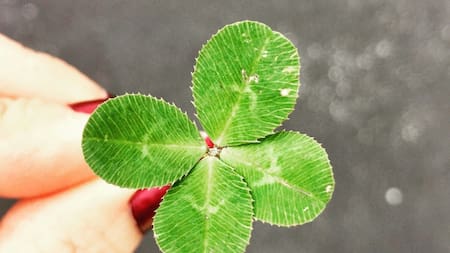 Números de la suerte de hoy, miércoles 11 de febrero de 2026