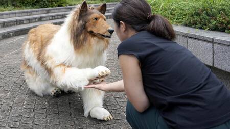 "Toco", el hombre que gastó miles de dólares para "convertirse" en perro. Foto: EFE.