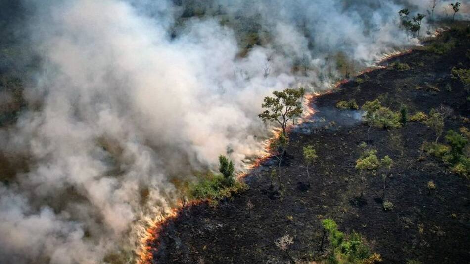 Incendio en el Amazonía. Foto: Reuters.