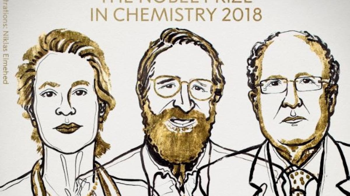 Ganadores del Nobel de Química 2018 (Ilustración Niklas Elmehed)