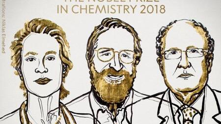 Ganadores del Nobel de Química 2018 (Ilustración Niklas Elmehed)