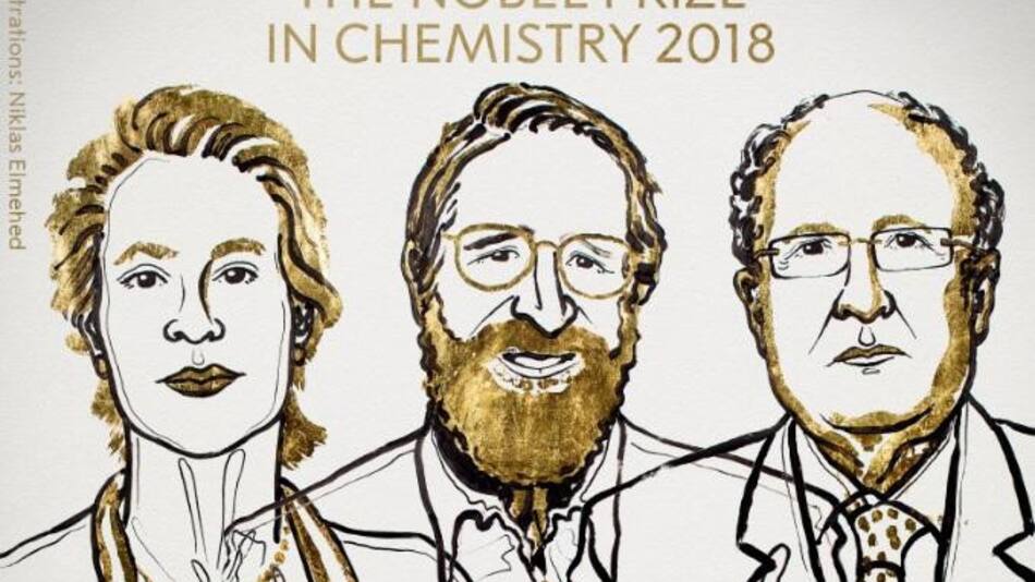 Ganadores del Nobel de Química 2018 (Ilustración Niklas Elmehed)