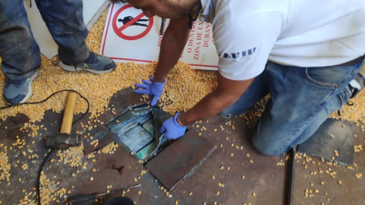 Cocaína escondida en un camión de maíz. Foto: Aduana.