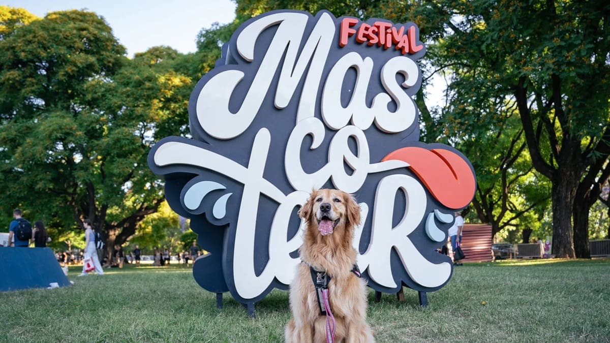 Llega el Festival Mascotear 2026 para los amantes de los perros y gatos: cuándo y dónde se celebrará el evento con mucho amor animal