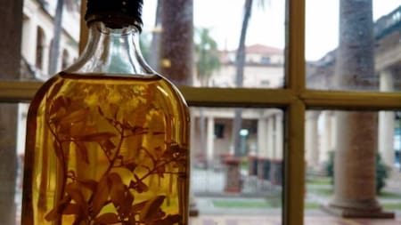 Caña con ruda. Foto: Twitter.