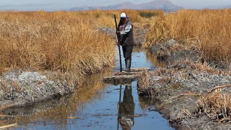 Lago Titicaca. Foto: EFE