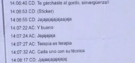 El polémico chat que involucra a Agustina Cosachov. Foto: NA.