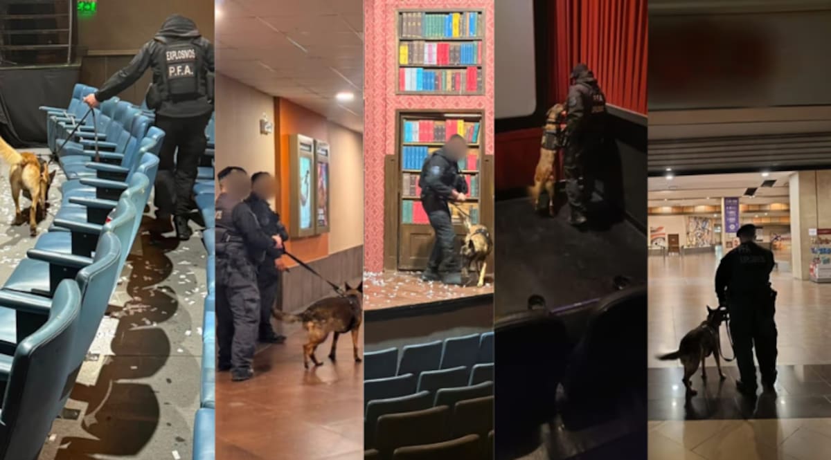 Detención de la mujer acusada por las amenazas de bomba en el Hospital Garrahan