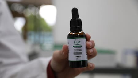 El cannabis medicinal estatal ya es realidad en Corrientes: se entregará gratuitamente solo con receta