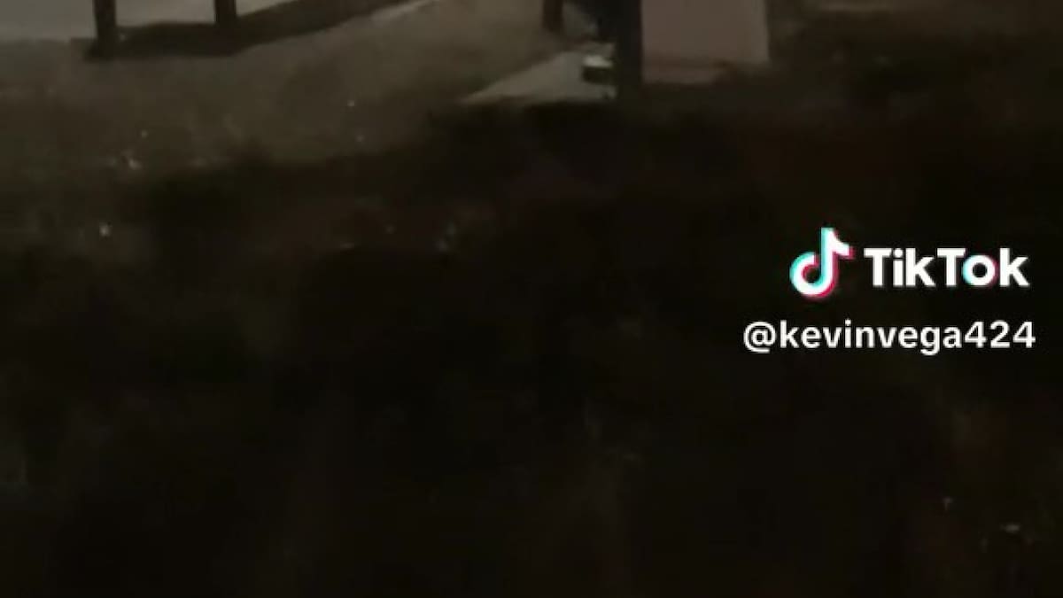 La maquina que se movía sola. Foto: TikTok/@kevinvega424